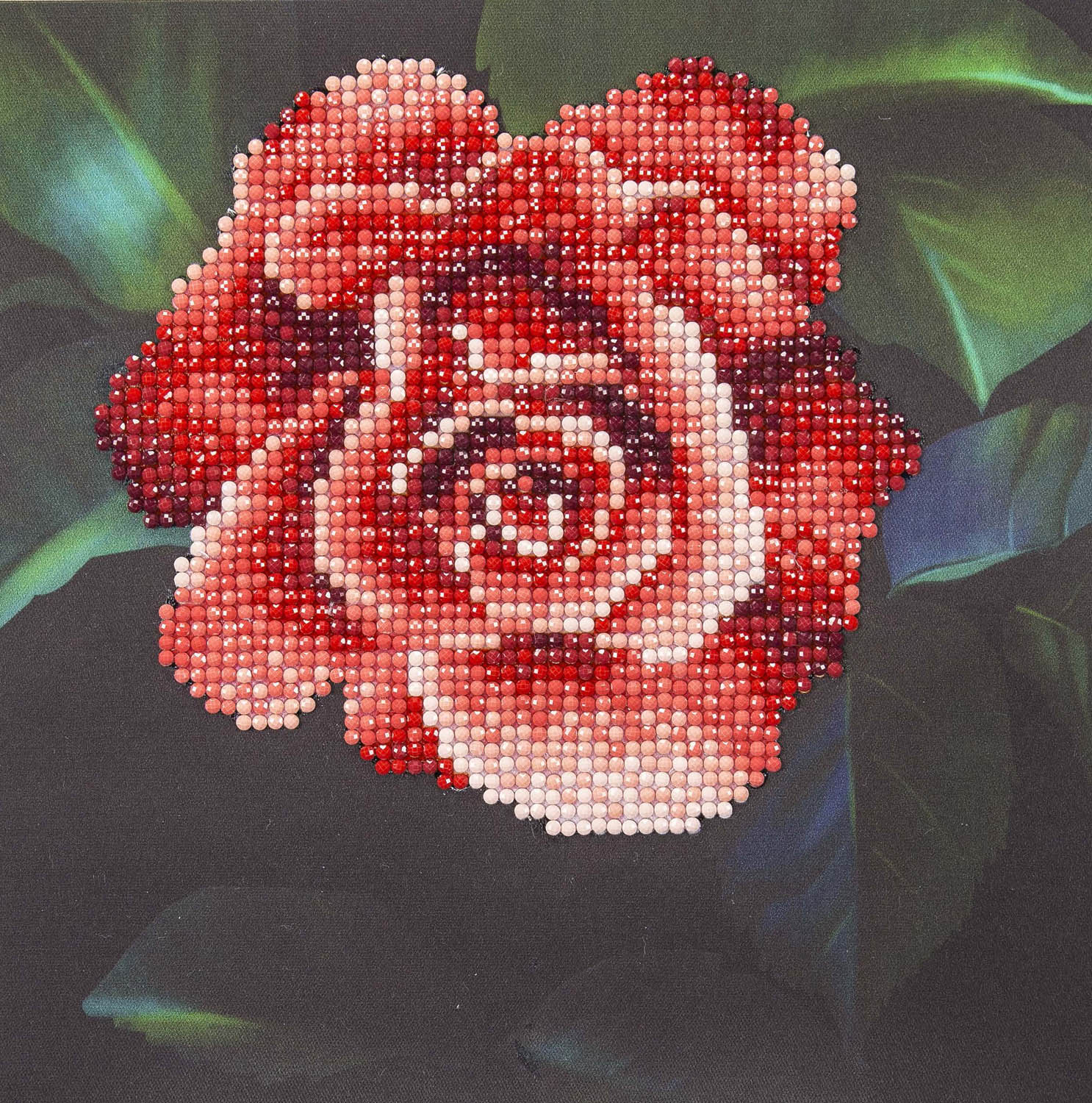 Diamond Art Kit 8x 8 Beginner Red Rose